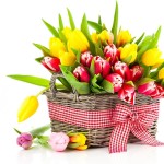 bukiet kwiatow tulipany kosz